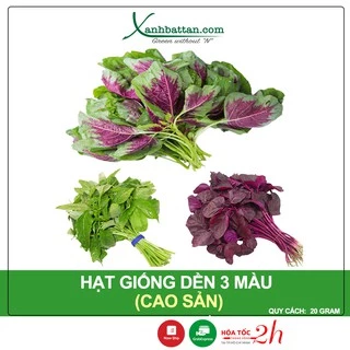 Hạt Giống Rau Dền 3 Màu Phú Nông Gói 20 Gram