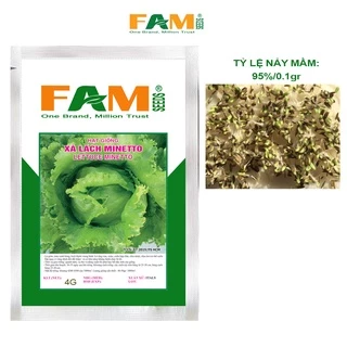 Hạt Giống Xà Lách Minetto FAMSEEDS -Gói 4gr, Nảy mầm và Sinh trưởng mạnh, Kháng bệnh cháy lá tốt, Lá giòn, Cuốn búp chặt