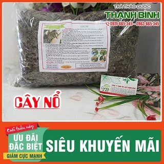 Cây Nổ 1Kg - Vị Thuốc Dân Dã - Hàng Công Ty