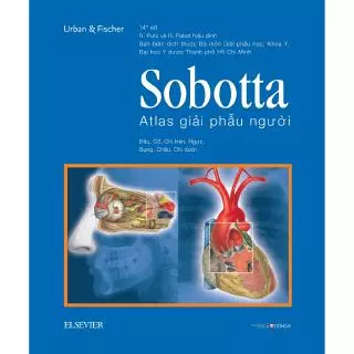Sách - Sobotta Atlas Giải Phẫu Người