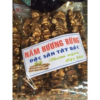 Nấm Hương Rừng Tây Bắc - Nấm Từ Đồng Bào Tây Bắc Tự Nhiên