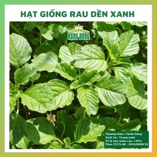 Hạt giống rau dền xanh lá tròn rau củ quả chịu nhiệt 4 mùa tỉ lệ nảy mầm cao 20g RADO 017