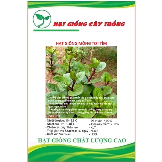 Hạt Giống Rau Mồng Tơi Tím CT351 - Gói 3gram