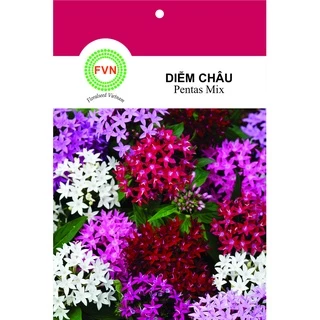 HẠT GIỐNG HOA DIỄM CHÂU NHIỀU MÀU FVN GÓI 5 HẠT - PENTAS MIX