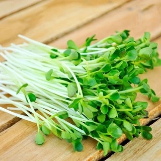 Hạt Giống Mầm Cải Xanh Đà Lạt KNS1442 - Gói 20gram