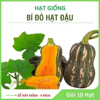 [FreeShip] Hạt Giống Bí Hạt Đậu Trái Ngắn Thịt Dày, Ăn Thơm Ngon - Gói 10 Hạt