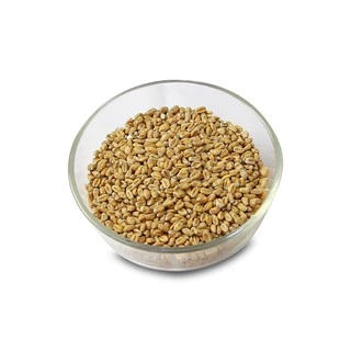 Malt nấu bia Pale Wheat Malt