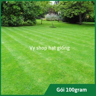 Gói 100g hạt giống cỏ Bermuda (cỏ tăm - cỏ chỉ - cỏ gà) loại cao cấp nhập Mỹ trồng thảm sân vườn