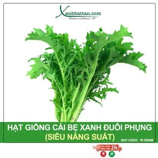 Hạt Giống Cải Bẹ Xanh Ngọt Đuôi Phụng Phú Nông Gói 10 Gram