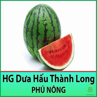 Hạt Giống Dưa Hấu 1Gr - Hạt Giống Dưa Hấu Thành Long Siêu Ngọt