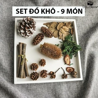 Set đồ khô chụp ảnh sản phẩm, quả khô phụ kiện chụp hình trang trí Noel giáng sinh phụ kiện thiên nhiên