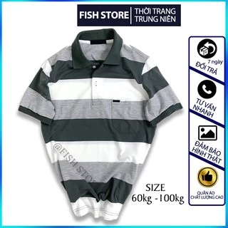 Áo phông nam trung niên vải cotton dày đẹp có cổ tay ngắn polo form rộng cao cấp FF48C