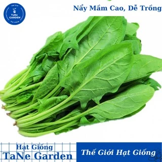 10Gr Hạt Giống Cải Bó Xôi Chịu Nhiệt - TaNe Garden