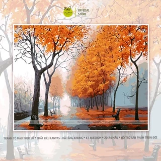 Tranh tô màu số hóa Madoca có khung 40x50cm Đường cây mùa thu T934