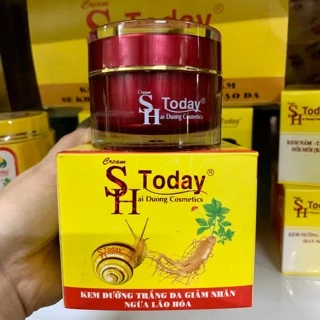 Kem dưỡng da giảm nhăn ngừa lão hoá sh today 40g