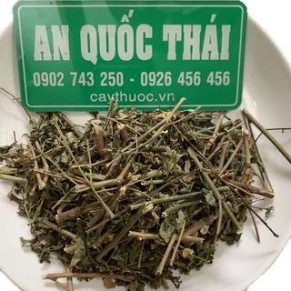 1KG Cây Bồ Ngót Phơi Khô (Sạch), Hàng Loại 1, Đảm Bảo Chất Lượng