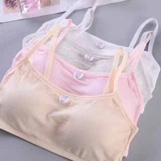 Áo Bra Học Sinh Cotton Hình Thỏ Siêu Xinh