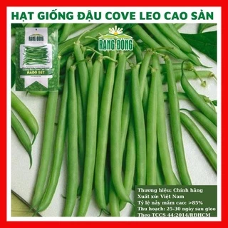 Hạt giống đậu cove leo cao sản - rau củ quả trồng chậu, sân vườn ban công tỉ lệ nảy mầm cao 20gr RADO 557