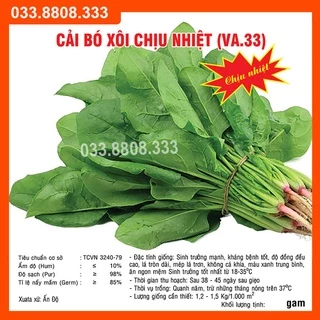 HẠT GIỐNG RAU CẢI BÓ XÔI 20G - GIỐNG TỐT GIÁ RẺ, NHANH THU HOẠCH