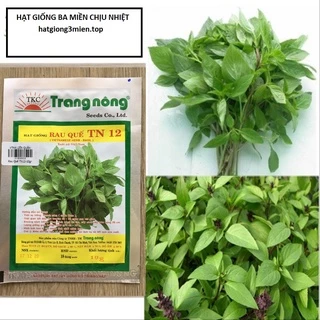 [Trang Nông] Gói 10gram Hạt Giống Rau Quế Lá Lớn Trang Nông