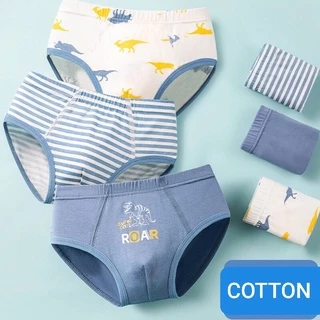 [BT01 Set 3] Quần sịp bé trai, quần chíp bé trai chất liệu cotton cao cấp mềm mịn Maruka Fashion 12-46kg