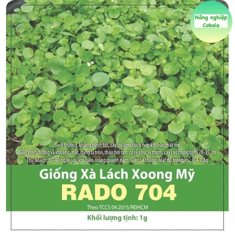 Hạt Giống Xà Lách Xoong Mỹ Chịu Nhiệt, Dễ Trồng 1gr