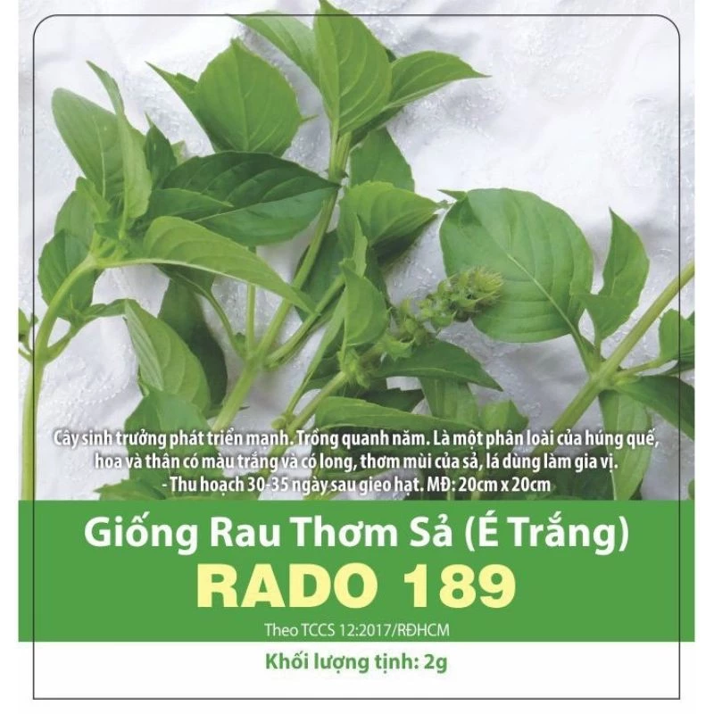 Hạt giống Rau thơm Sả (É trắng)