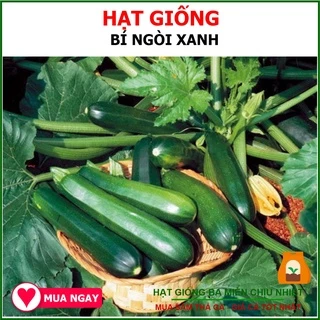 HẠT GIỐNG BÍ NGÒI HÀN QUỐC TRÁI XANH F1 2gram