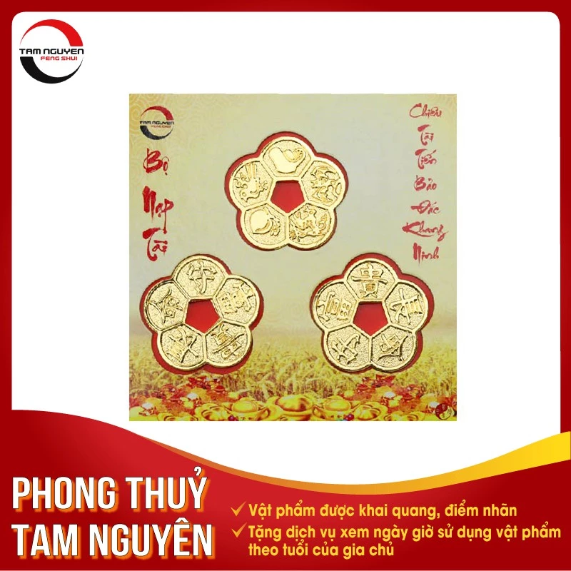 Ba Đồng Tiền Hoa Mai Phong Thủy (Tam Cát) Chuyên Nạp Tài Két Sắt, Giữ Lộc Trong Nhà, Hóa Giải Thị Phi Cho Gia Chủ