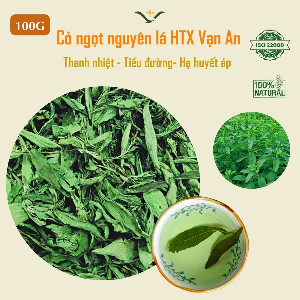 Cỏ ngọt nguyên lá (100G),không gây béo, giảm đau dạ dày, thanh nhiệt cơ thể, mát gan, giúp da trắng sáng