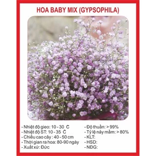 Hạt giống Hoa Baby Mix 100 Hạt