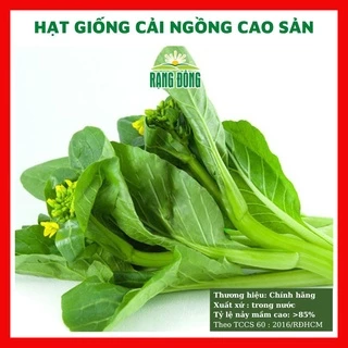 Hạt giống cải ngồng chịu nhiệt cao sản - rau củ quả trồng chậu, sân vườn ban công ngon giòn ngọt 10gr