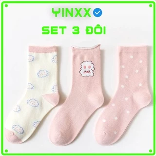 COMBO 3 tất cổ cao phong cách Hàn Quốc, set 3 đôi vớ cao cute Yinxx TV02