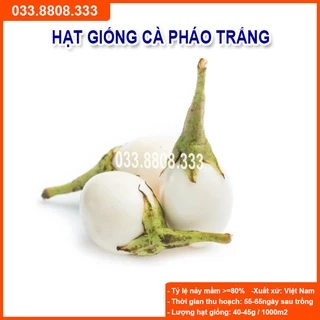 Hạt Giống Cà Pháo Trắng - Tỷ Lệ Nảy Mầm Cao