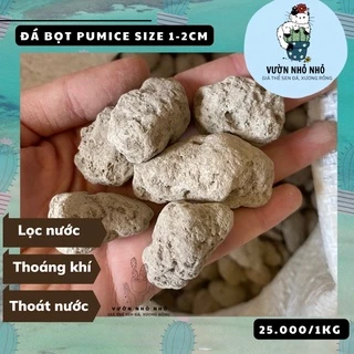 1kg Đá bọt, đá Pumice size 1-2cm lót chậu sen đá, xương rồng, trộn giá thể trồng lan, kiểng lá, lọc nước thuỷ sinh