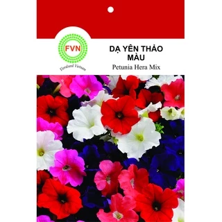 HẠT GIỐNG HOA DẠ YÊN THẢO ĐỨNG TRƠN NHIỀU MÀU FVN GÓI 15 HẠT - PETUNIA HERA MIX