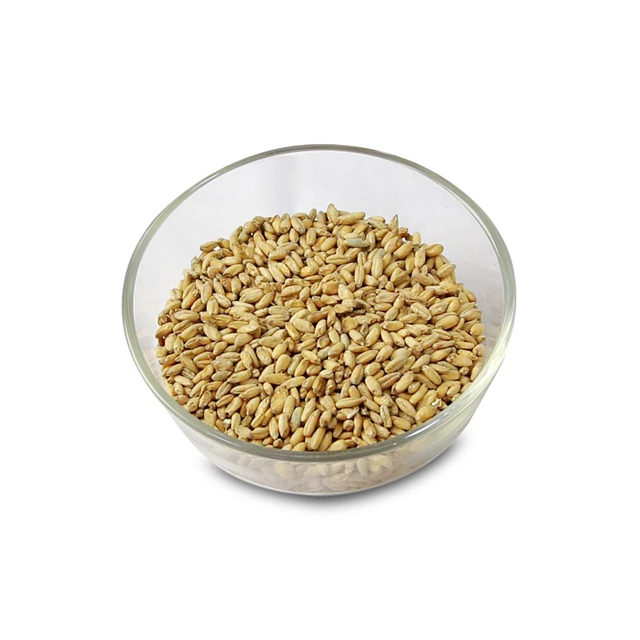 Malt nấu bia Pale Rye Malt