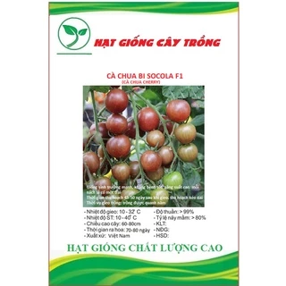 Hạt Giống Cà Chua Bi Socola F1 (Cà Chua Cherry) F1 CT280 - Gói 30 hạt