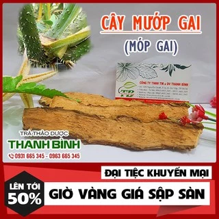 Cây Mướp Gai Khô 1Kg _ Thảo Dược Uy Tín