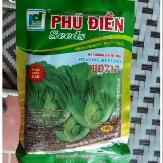 Hạt giống cải bẹ dưa, gói to 100g