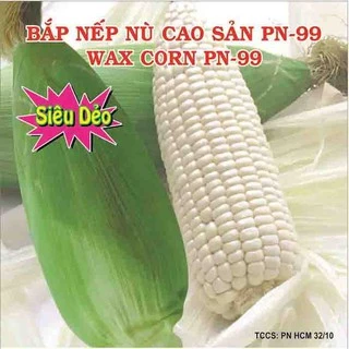 Hạt Giống Bắp Nếp Nù Siêu Sẻo Cao Sản PN - ( 100g/gói )