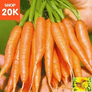 Hạt giống Cà rốt tí hon (0,2g)