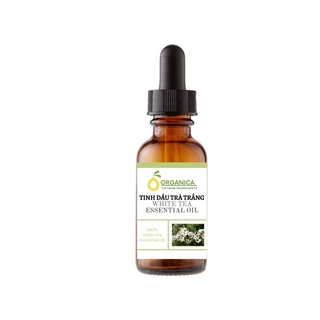 Tinh dầu Trà trắng nguyên chất (White Tea Essential Oil) 10ml