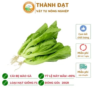 Hạt giống rau, hạt giống Cải Mào Gà (20gr ~4000 hạt) hạt chuẩn F1