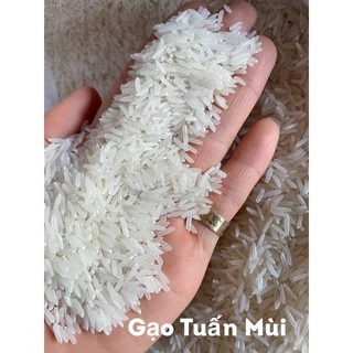 Gạo ST24 (Túi 5Ký) Dẻo Cơm