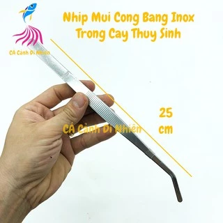 Nhíp mũi CONG trồng cây thủy sinh bằng inox SIZE 25 cm