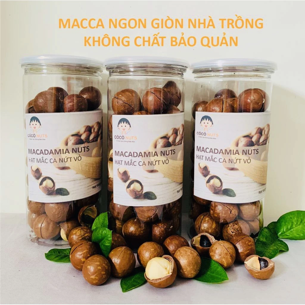 Hạt Macca CÔCÔ NUTS Size Trung GIÒN NGON, Nứt Vỏ Tự Nhiên - 500g kèm đồ khui