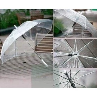 Ô dù trong suốt đi mưa - style Hàn Quốc