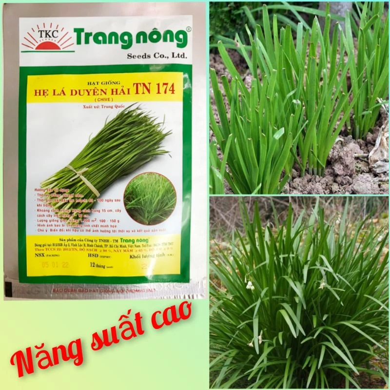 Hạt giống hẹ lá cao sản siêu năng suất Trang Nông 2g