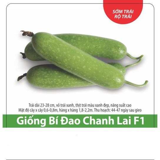 Hạt Giống Bí Đao Chanh F1 Dễ Trồng, Siêu Trái 0.2gr